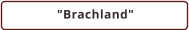 "Brachland"
