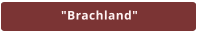 "Brachland"