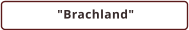 "Brachland"