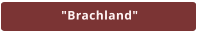 "Brachland"