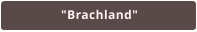 "Brachland"