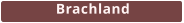 Brachland